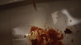 Toilet Destroyed :-D, ScatKings.com Scat Porn 26 ScatKings.com Scat Porn
